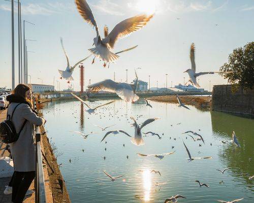 Открытки из Сочи