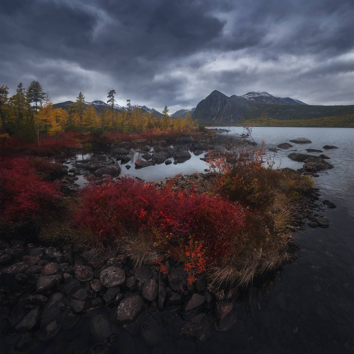 , Политова Анна