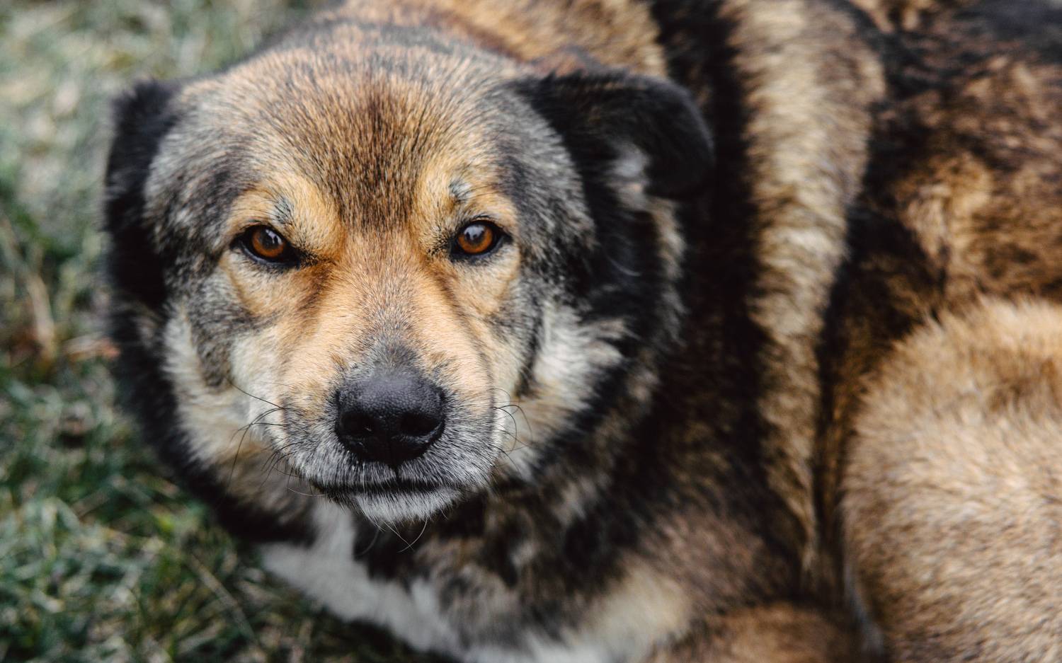 , Вертиков Юрий