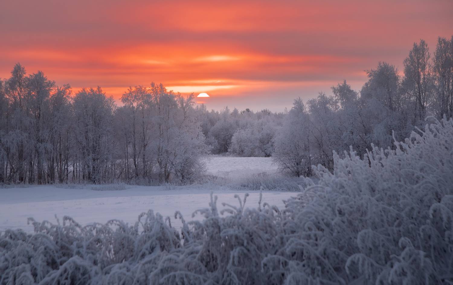 , Истомин Виталий