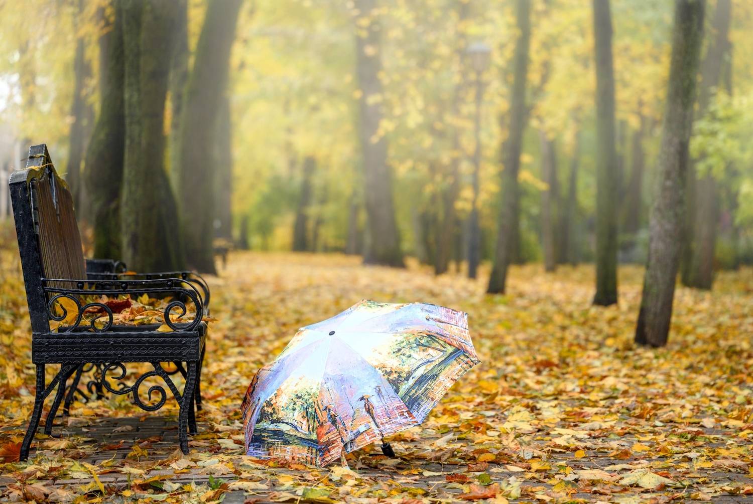 , Никитин Николай