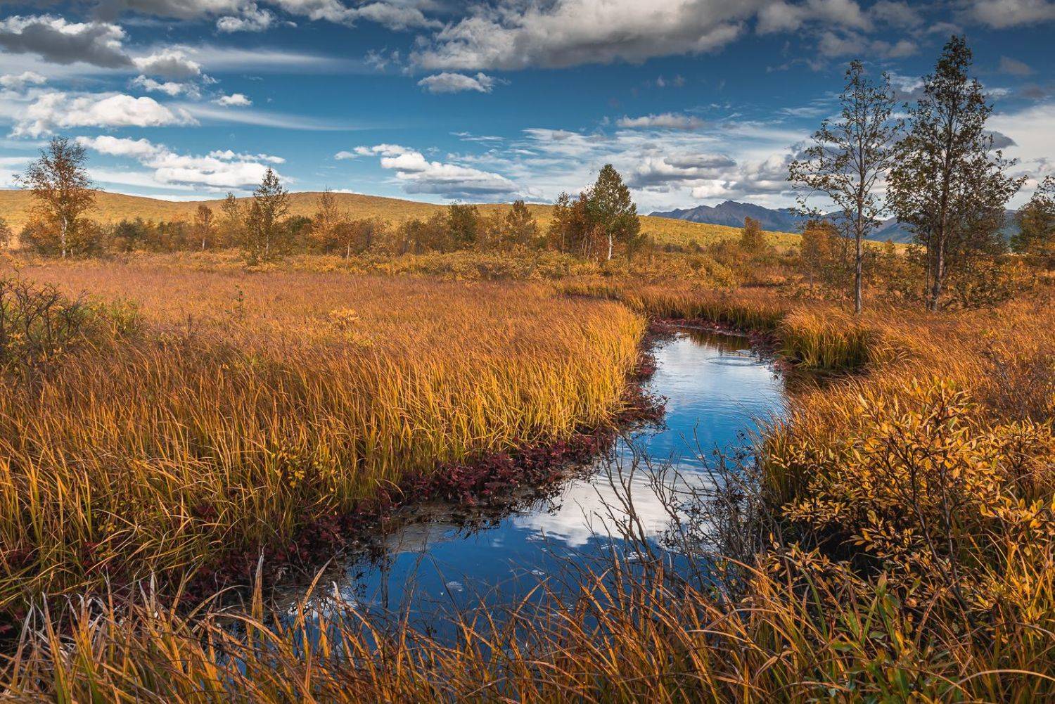 камчатский край  ганальская тундра  осень, Евгений Житников