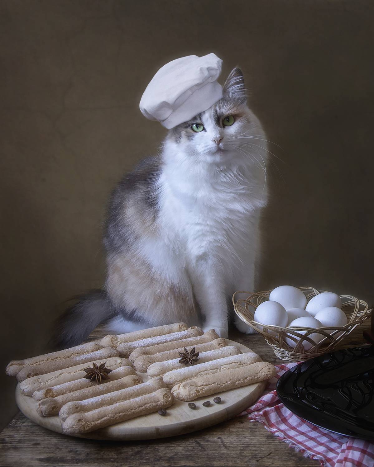 постановочное фото, кошки, котонатюрморт, котопортрет, домашние животные, питомцы, выпечка, Приходько Ирина