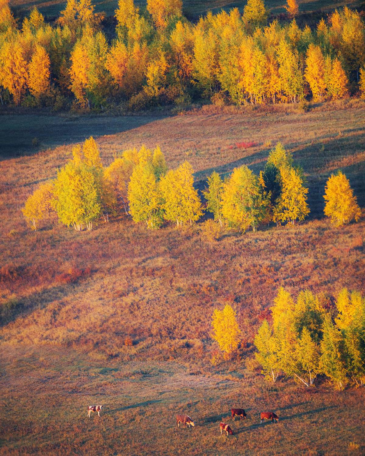 , Сергей Брагин