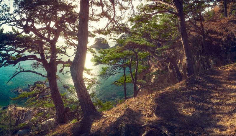 *** фото превью