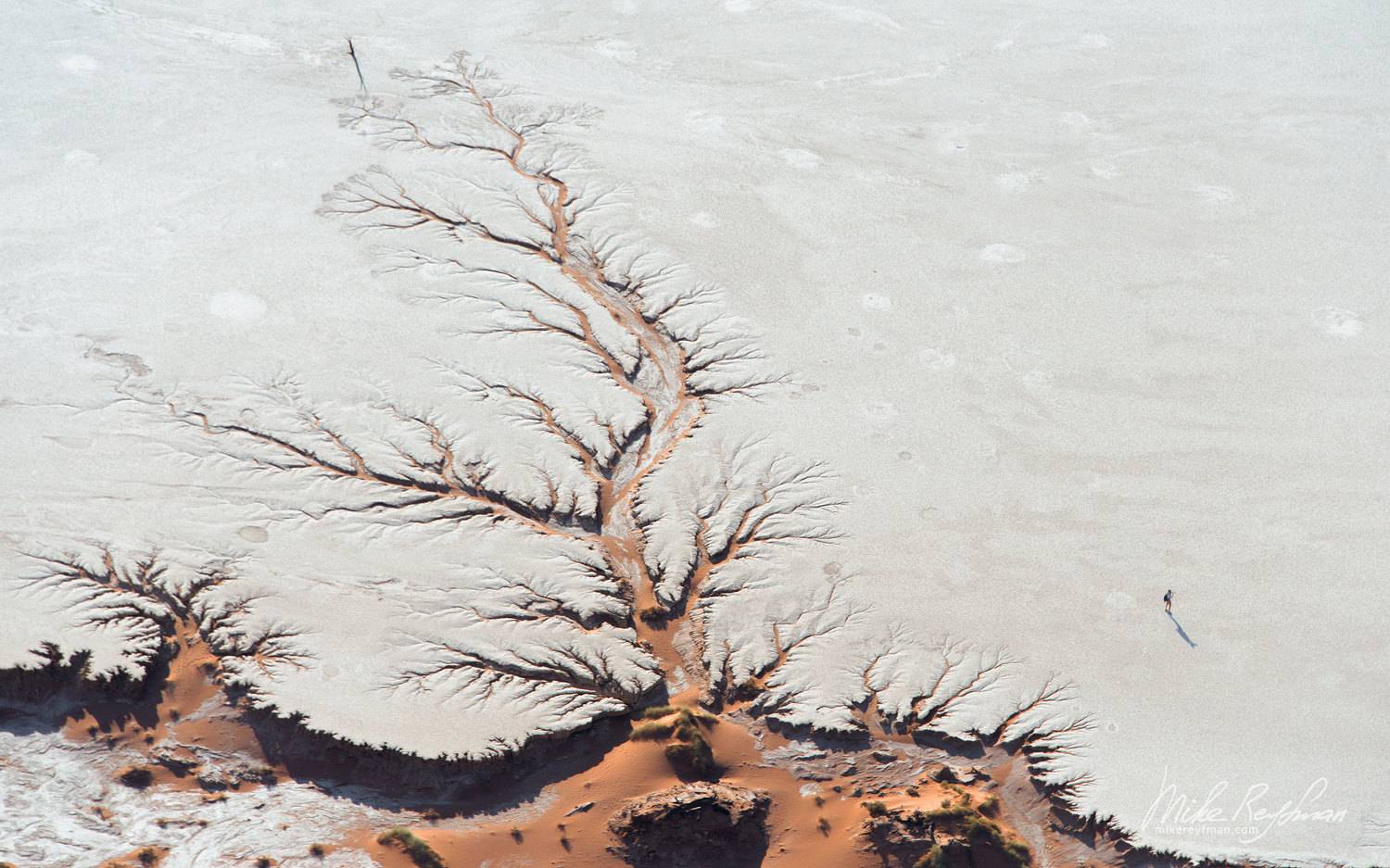 ancient, white clay, skeletons, camel thorn trees, deadvlei, sossusvlei, namib naukluft national park, namibia, Майк Рейфман