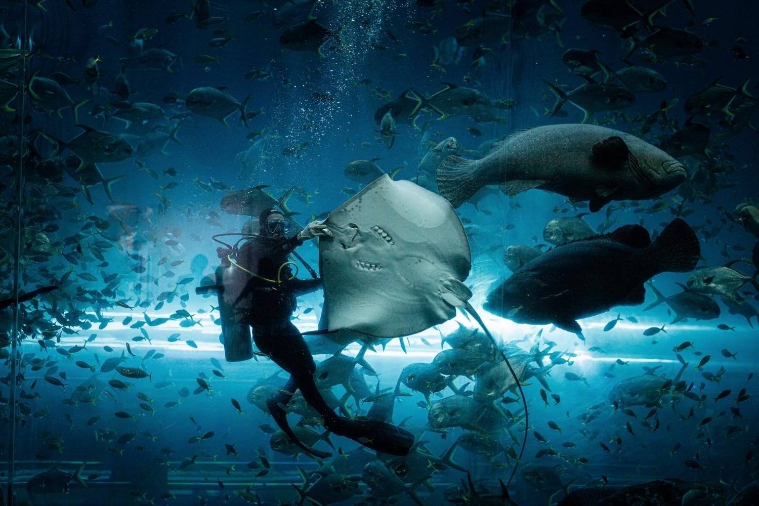 , Могилевич Elena