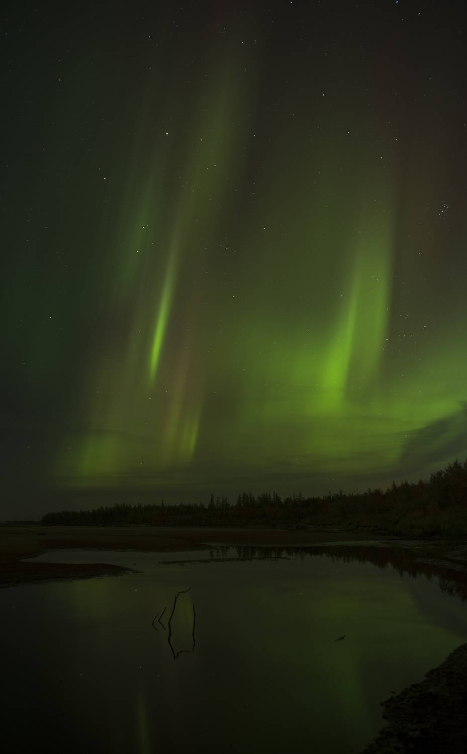 , Тушин Алексей