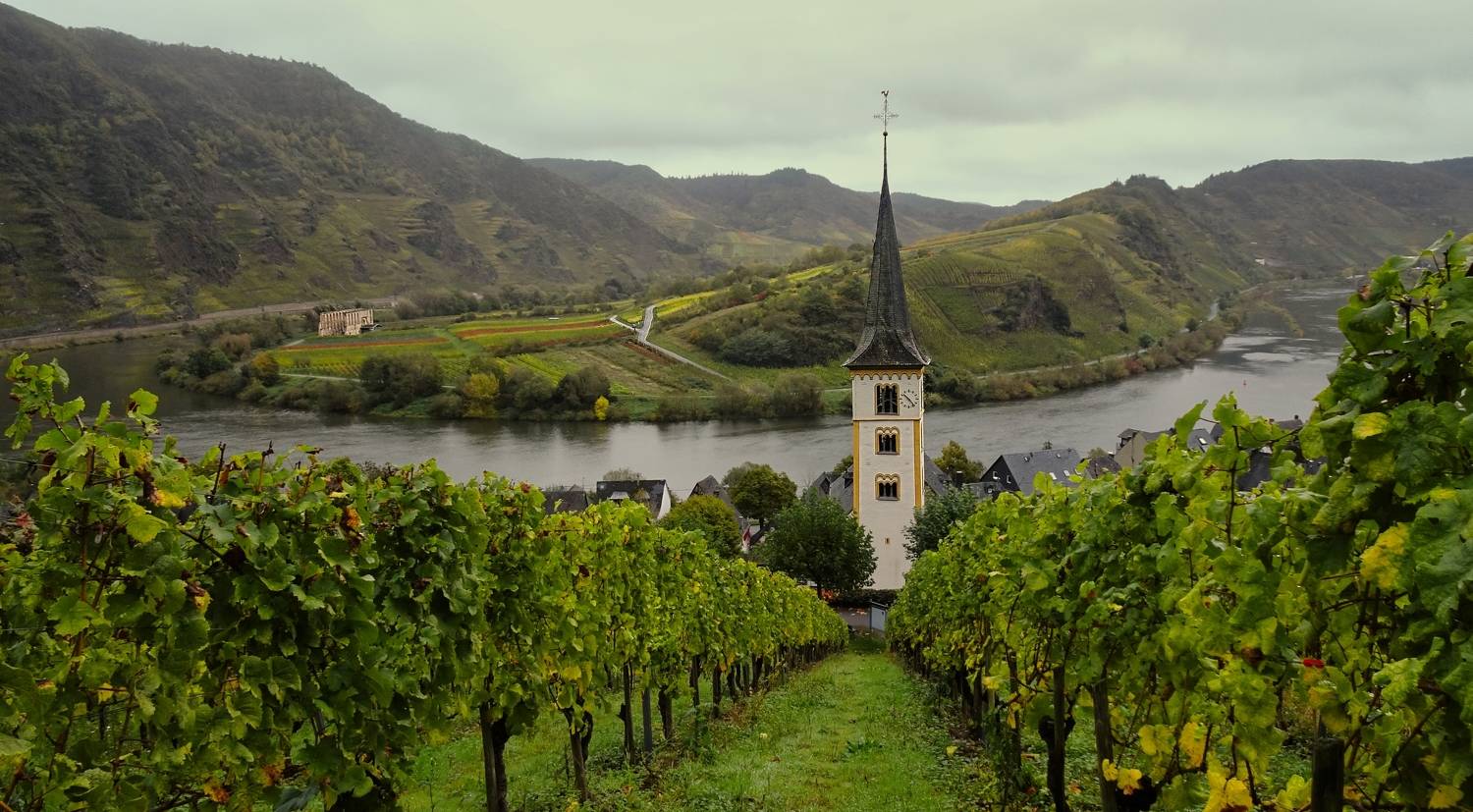мозельвиноград,мозельская петля,кохем замок,  VIktor