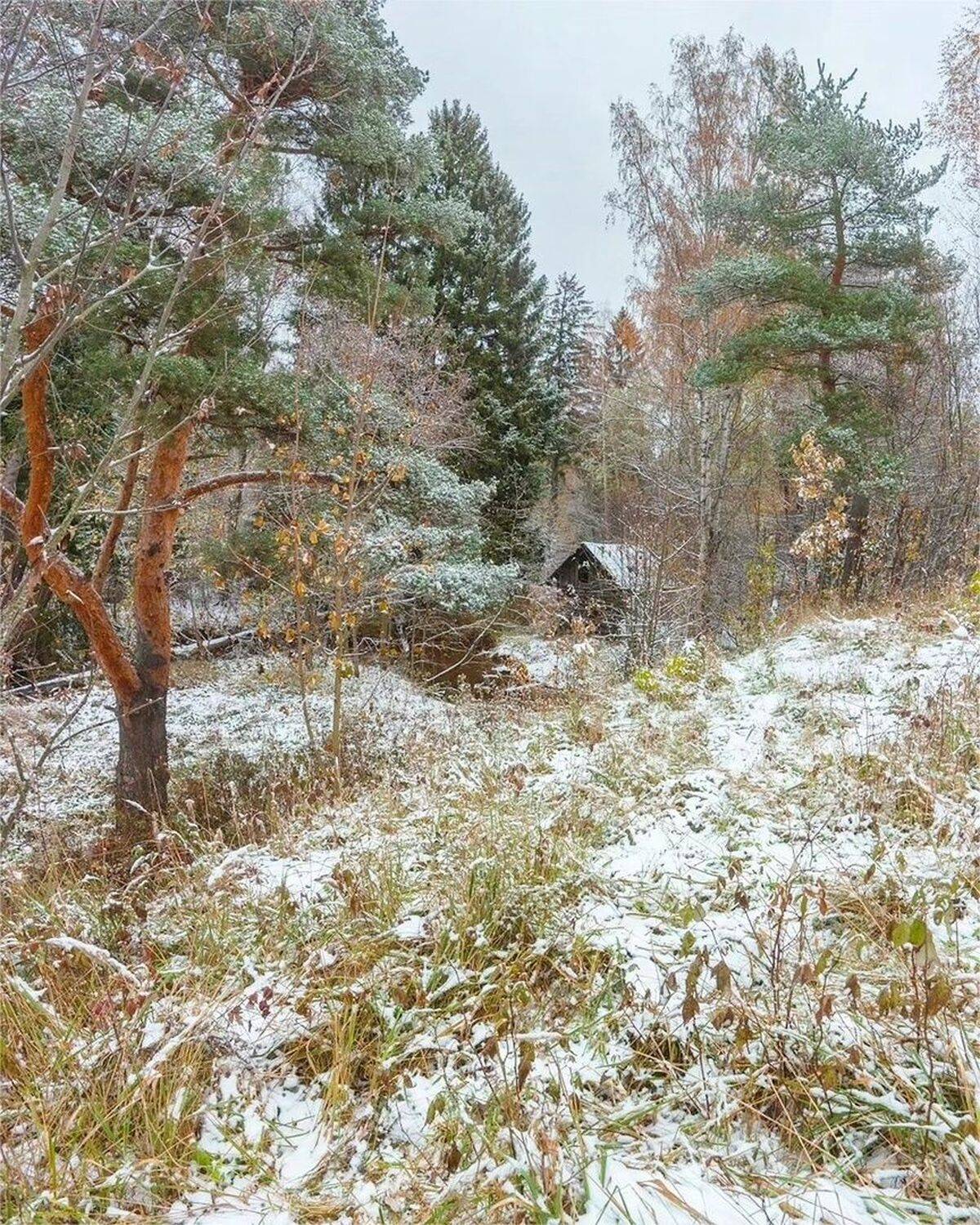 , Петр Косых