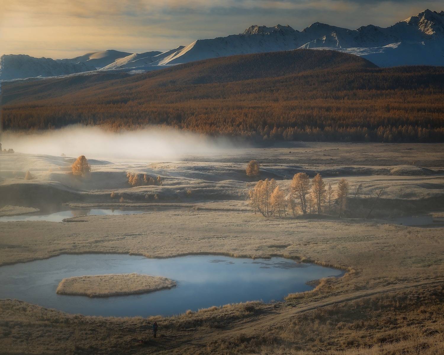 , Владимир Поляков