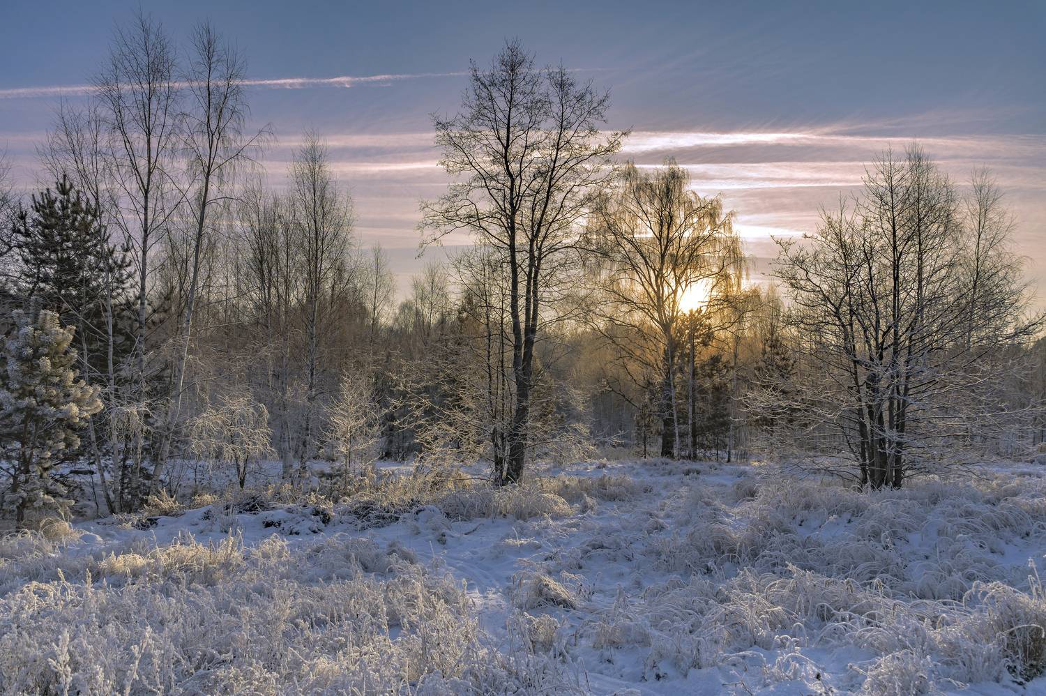 , Шитов Александр