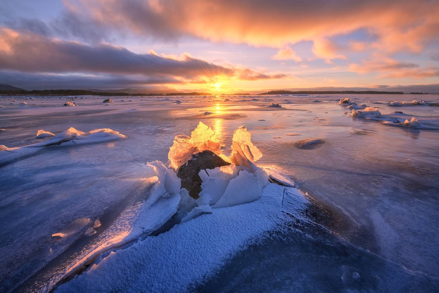 , Максим Евдокимов