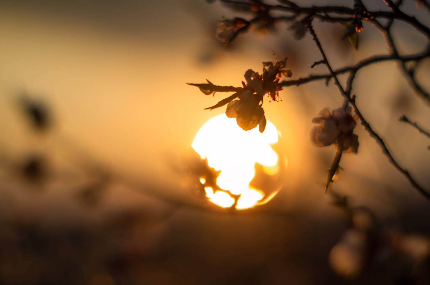 , Денис Лубсанов