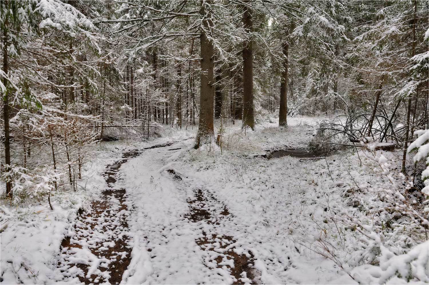 , Анатолий Гулин