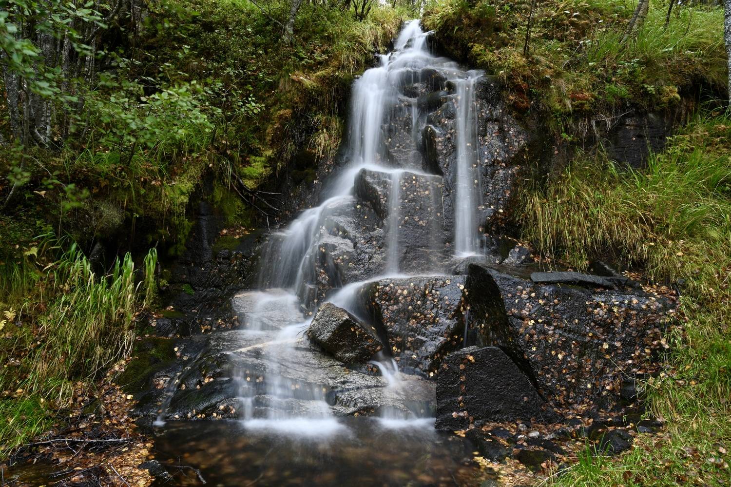 Landscapes, nature, Norway, waterfall, leaf, , Svetlana Povarova Ree