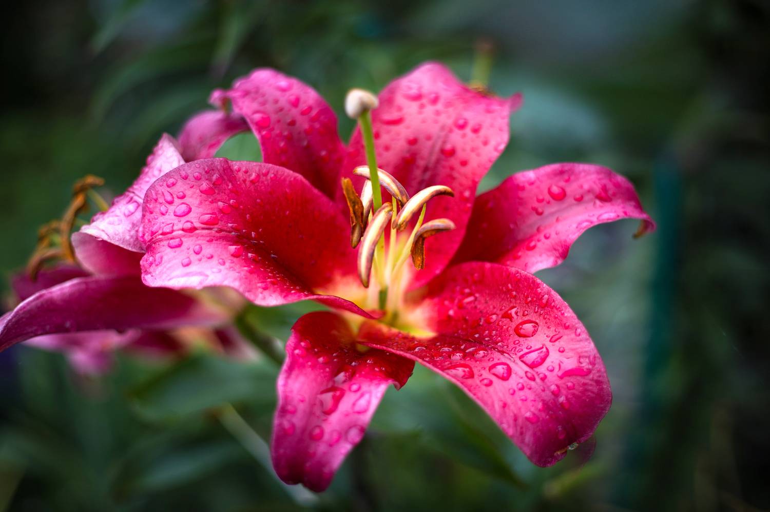 , Гуляев Алексей