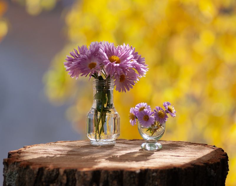 Теплый октябрь фото превью