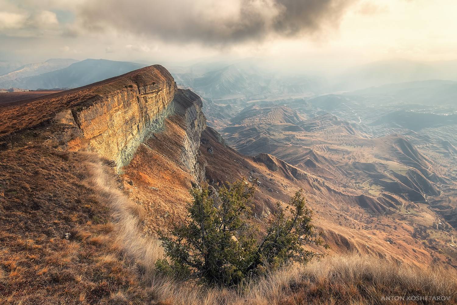 , Антон Кошетаров