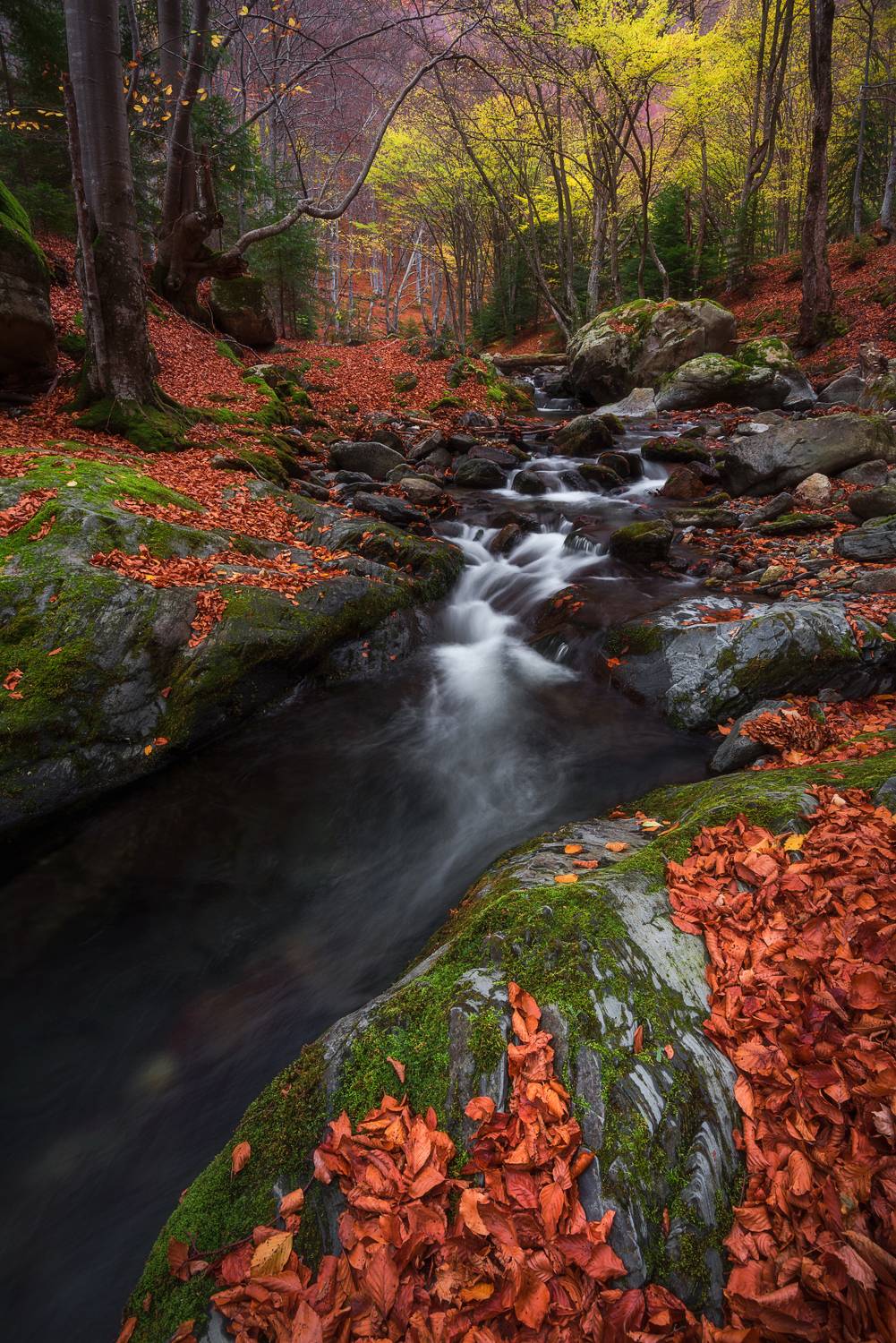 , Mariyana Atanasova - Lucero