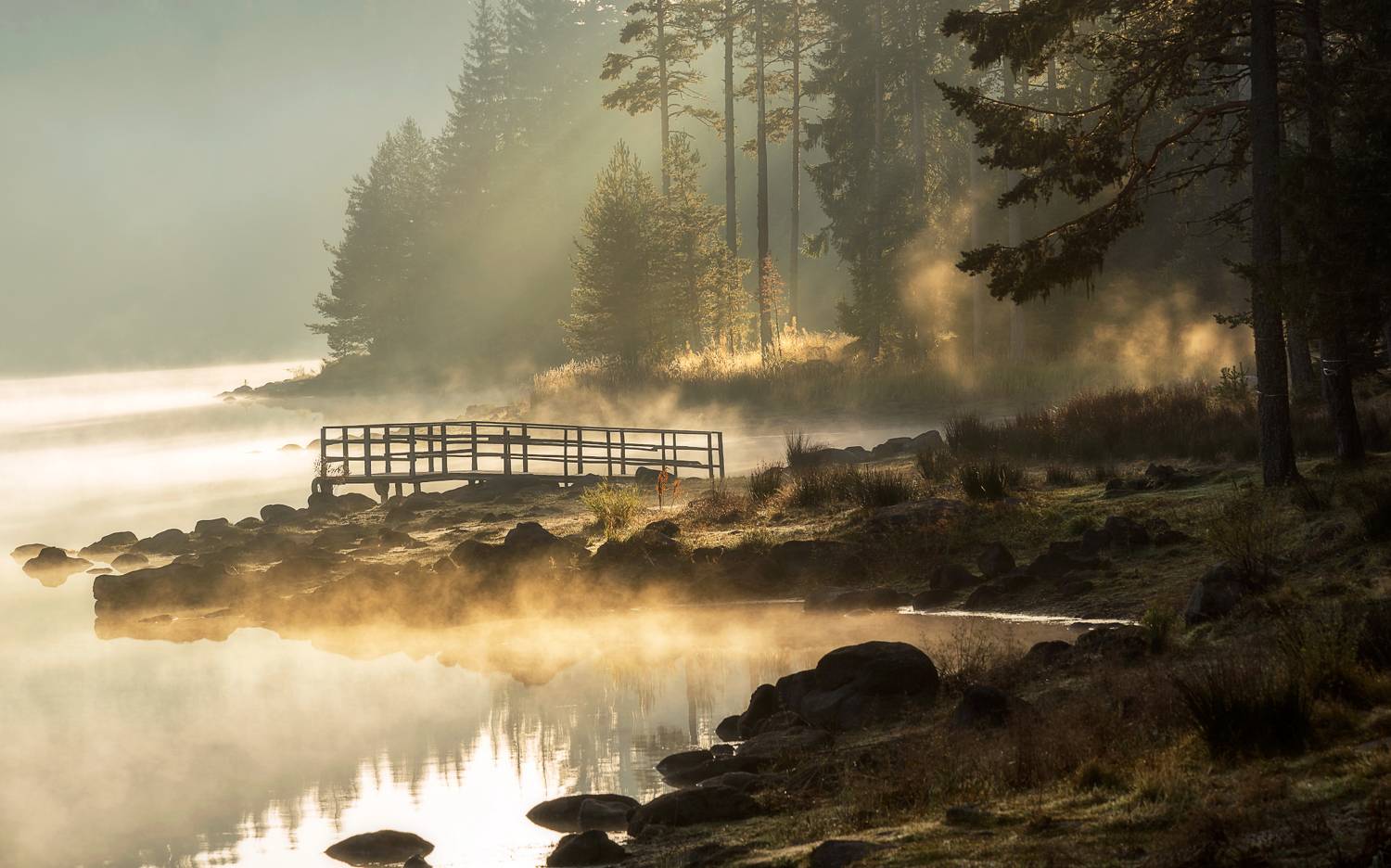 , Mariyana Atanasova - Lucero