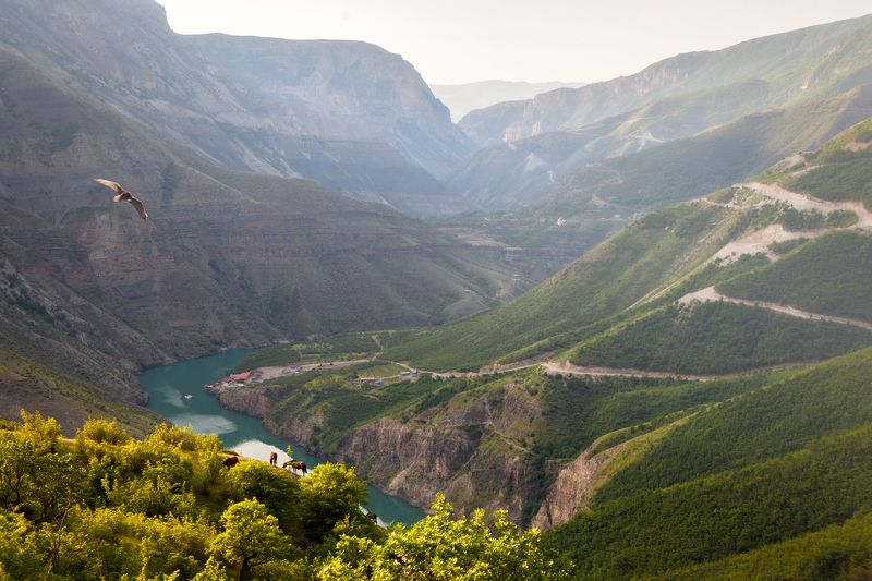 Рассвет над Сулакским каньоном фото превью