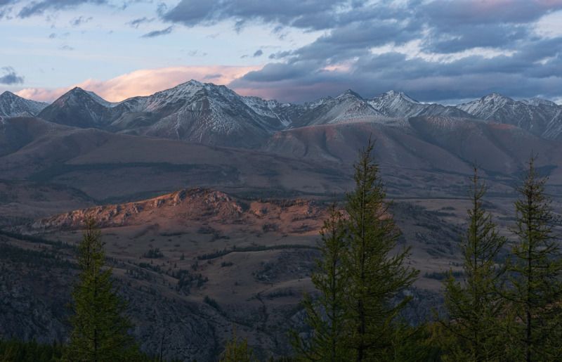 *** фото превью