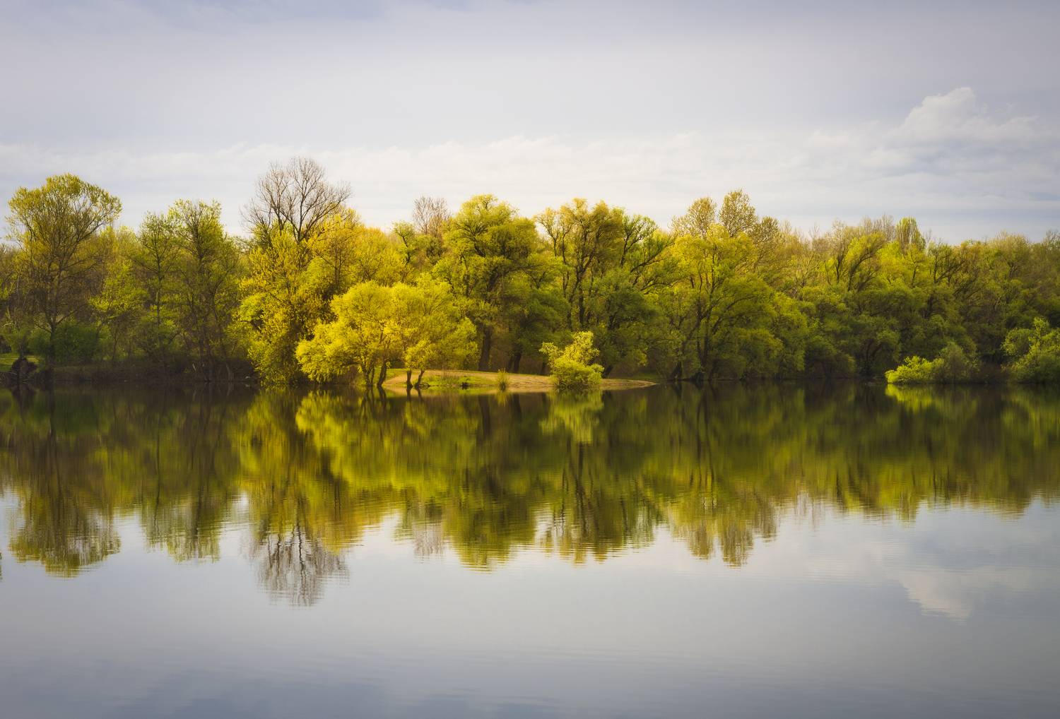 , Антон Литвин