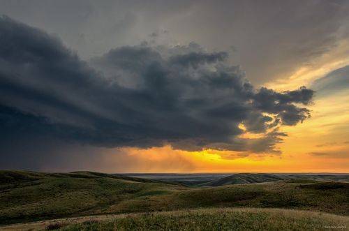 Перед грозой