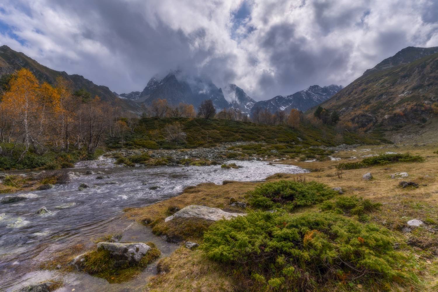 , Юлия Мальцева