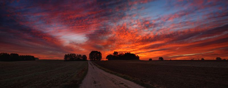Как заря горела. фото превью