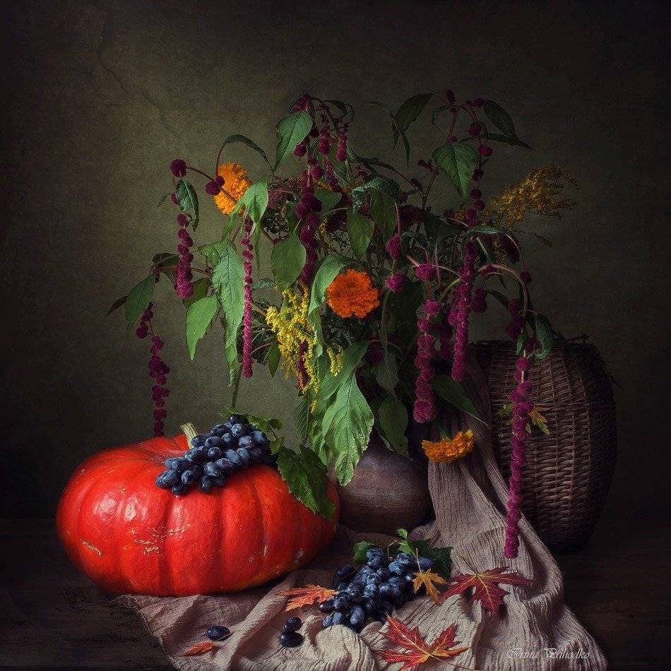 натюрморт, осенний букет, осенние листья, тыква, виноград, Ирина Приходько