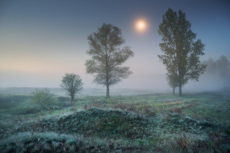 ночь, утро, луна, луг, Солоницевка, туман, сумерки Лунные Сумерки фото превью