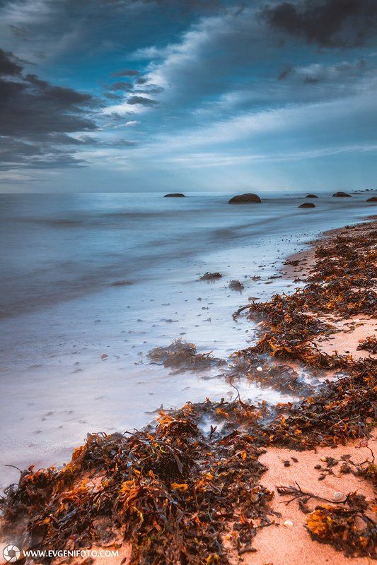 пейзаж,осень,природа,landscape,nature,autumn Осенние водоросли фото превью