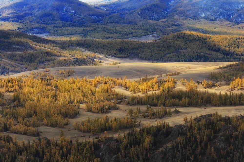 , Андрей Ершов