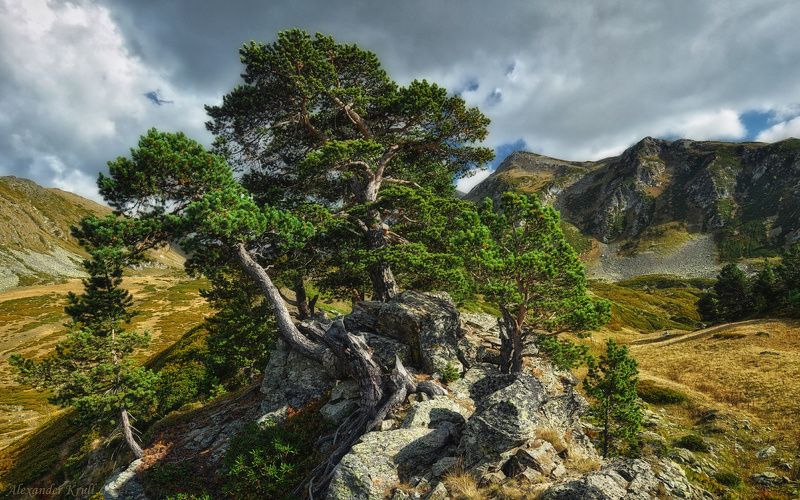 Кавказ, Кчр Раздвигающие скалы... фото превью