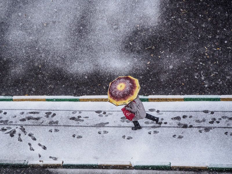 И каждый пошел своею дорогой... фото превью