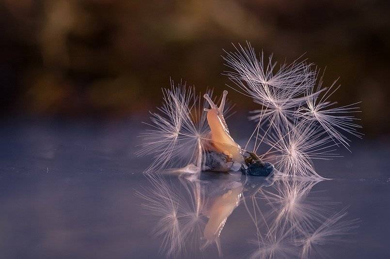 , Вячеслав Мищенко