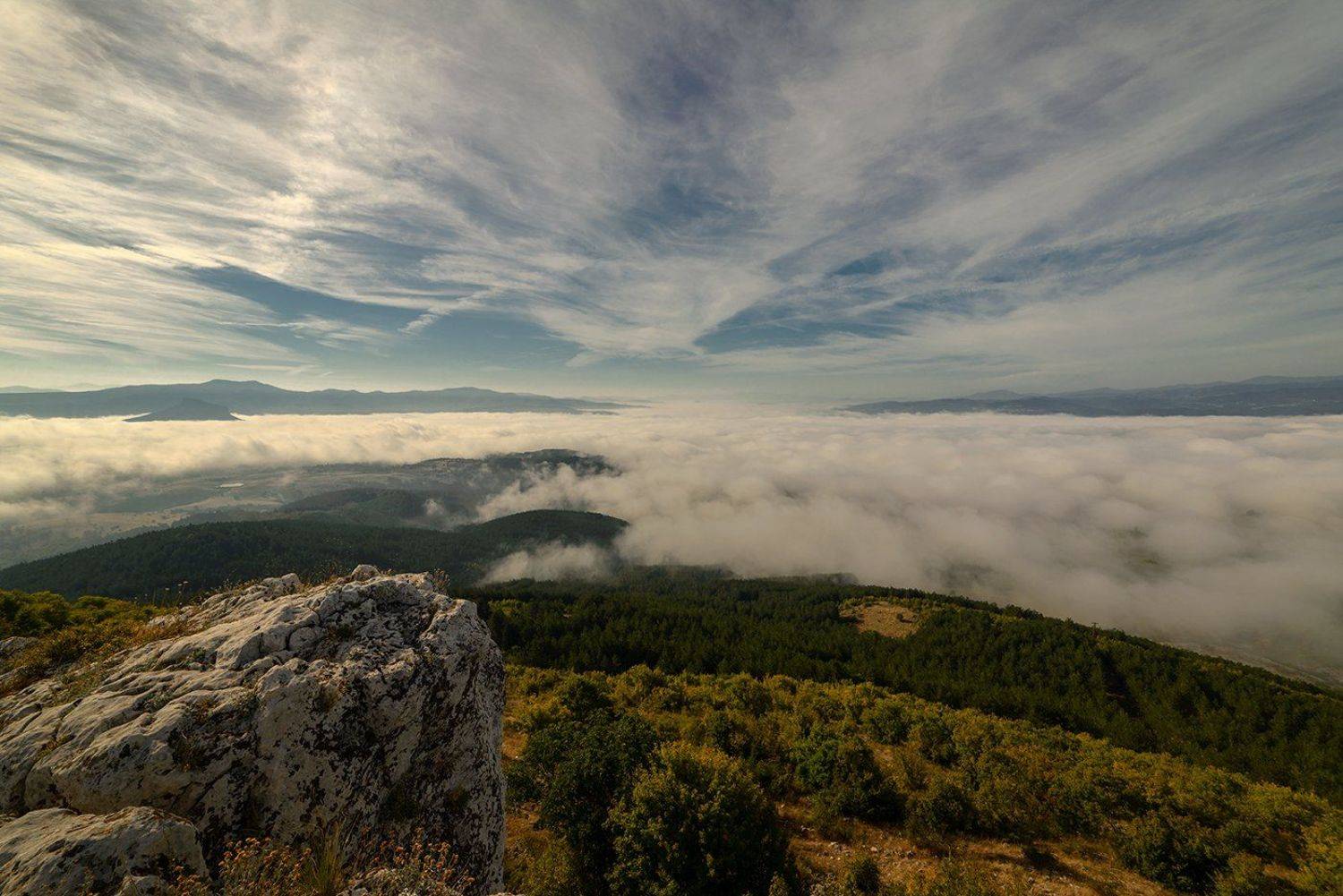, Васил Анастасовски