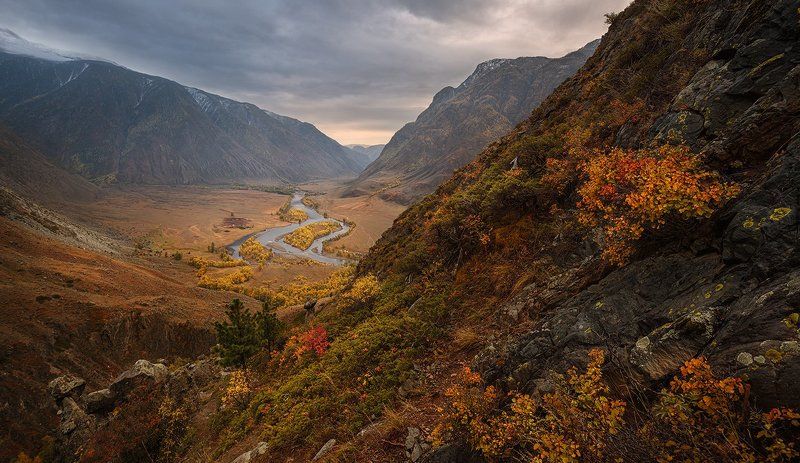 ...пестрое разнотравье ущелья Ак-Курум... фото превью