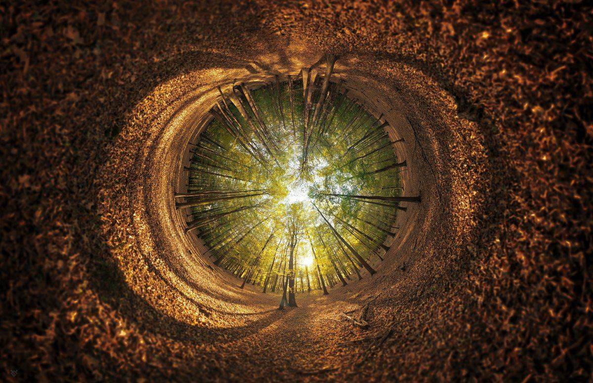 nature, panorama, forest, autumn, fall, eye, Wojciech Grzanka