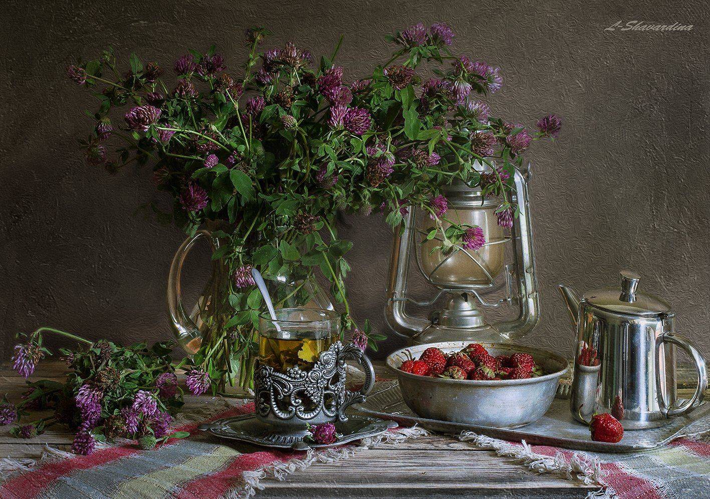 , Елизавета Шавардина
