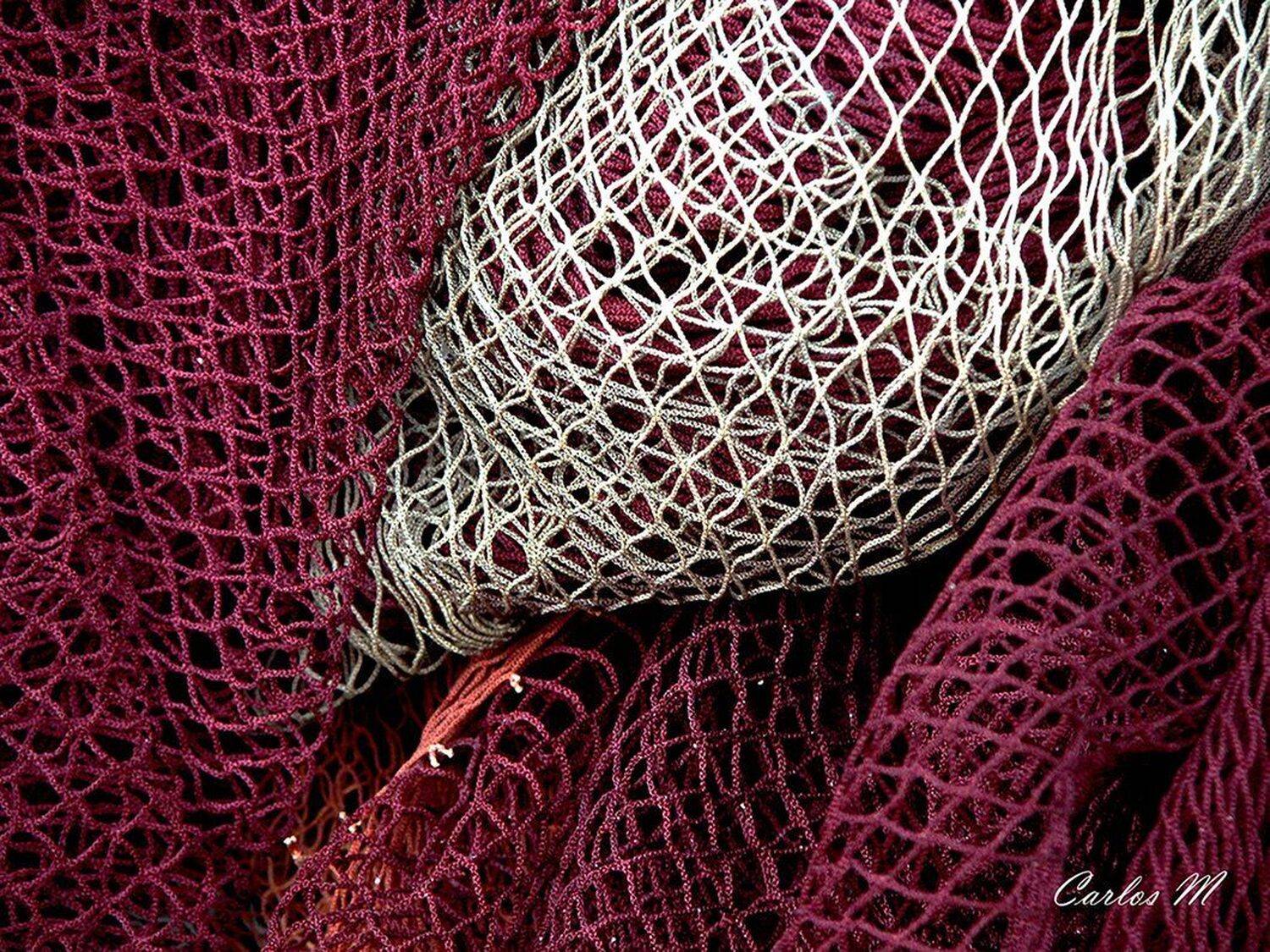 Urban, City, macro, Travel,, Carlos Machado