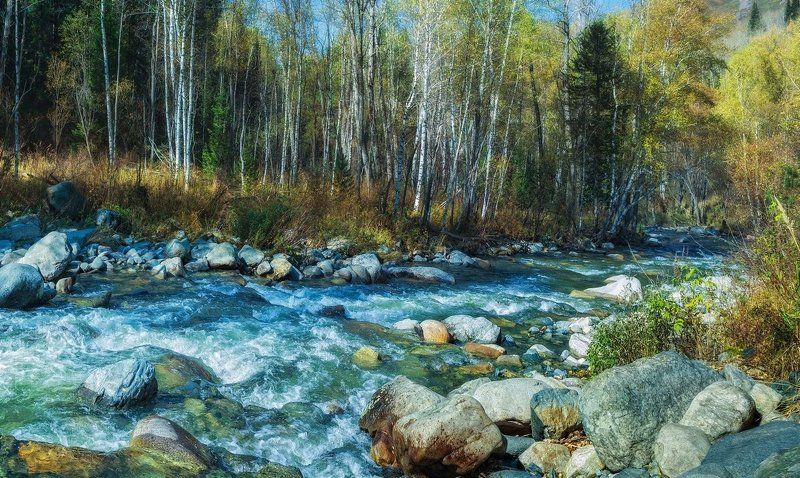 Зелено-синяя осень фото превью