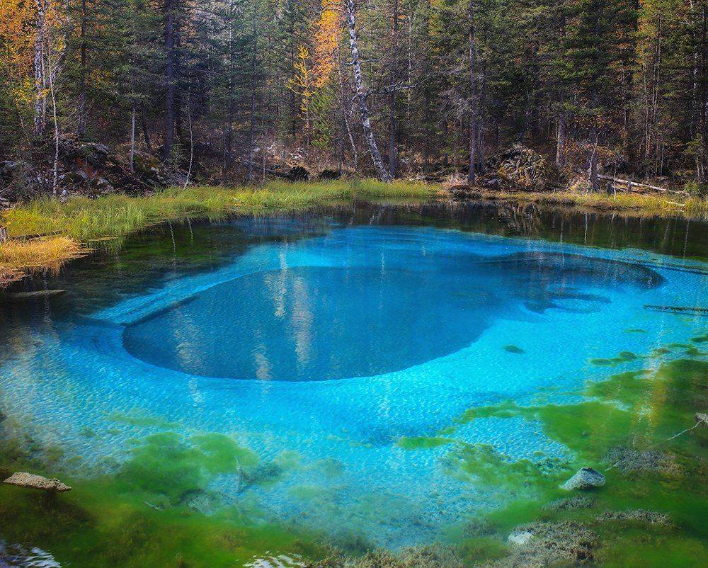 , Андрей Ершов