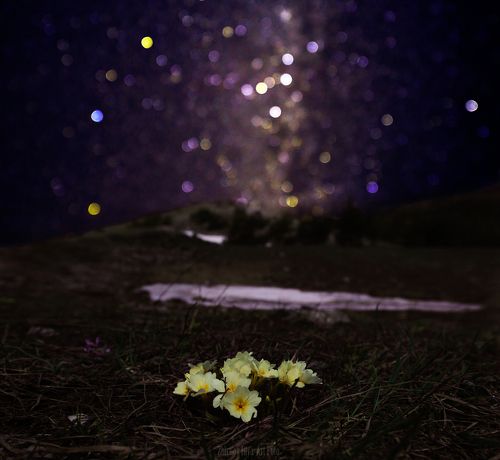 Крымская весна.