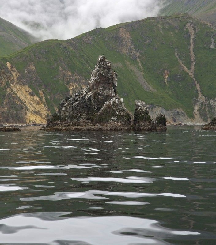 Живут здесь только чайки да бакланы, каланы.... фото превью