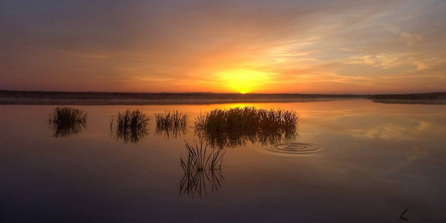 , Попрошаев Сергей