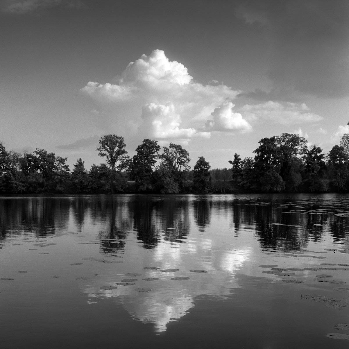 , Александр Резников