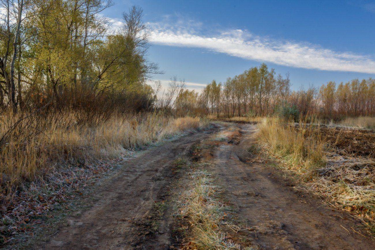 , Leonid Dyachenko